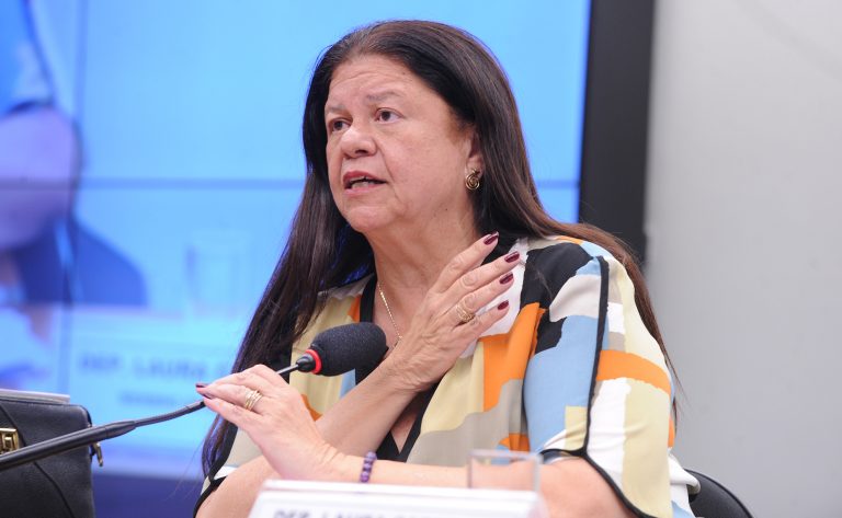 Deputada Laura Carneiro (PSD-RJ) fala em comissão da Câmara dos Deputados