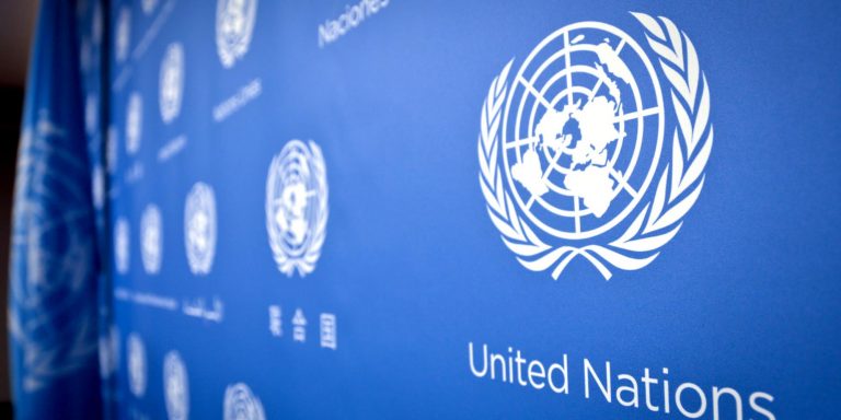 Organização das Nações Unidas (ONU)