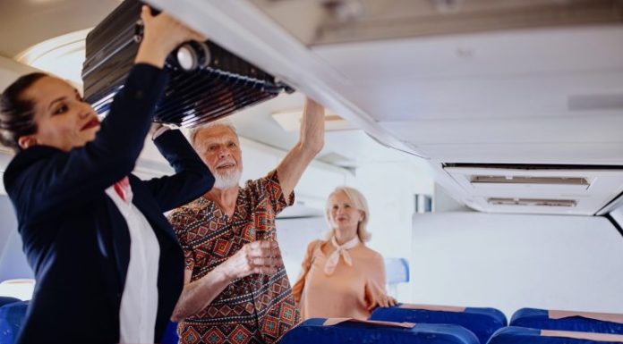Projeto exige pessoal treinado para auxiliar pessoas idosas em viagens interestaduais Projeto exige pessoal treinado para auxiliar pessoas idosas em viagens interestaduais