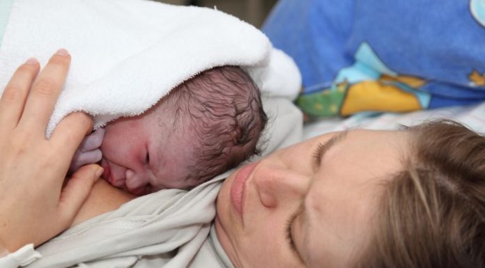 Projeto isenta de carência a concessão de salário-maternidade pelo INSS Projeto isenta de carência a concessão de salário-maternidade pelo INSS