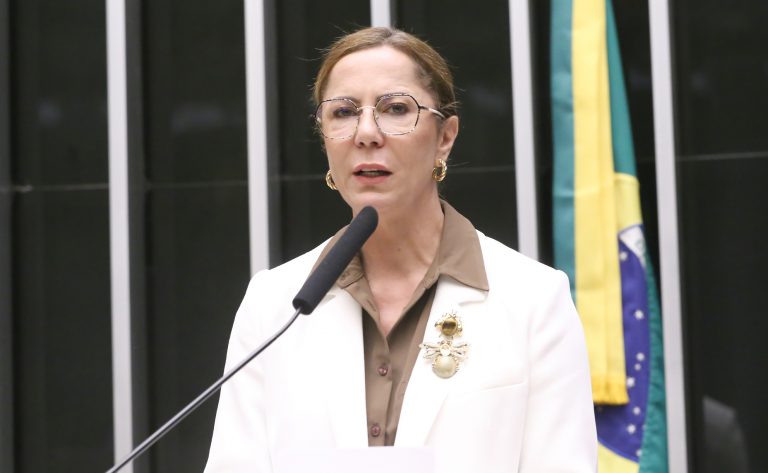 Comissão Geral sobre o Feminicídio. Dep. Delegada Katarina (PSD-SE)