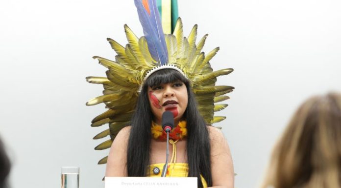Projeto prevê proteção contra agrotóxicos em territórios indígenas Projeto prevê proteção contra agrotóxicos em territórios indígenas