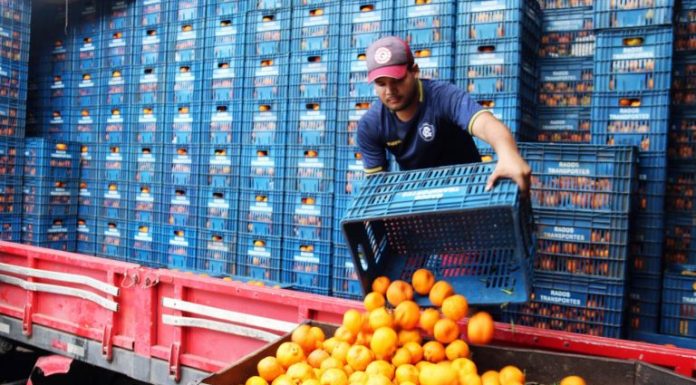 Projeto prioriza armazenagem de hortifrutis em programas federais de infraestrutura Projeto prioriza armazenagem de hortifrutis em programas federais de infraestrutura