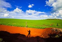 Projeto proíbe compra pública de produtos agropecuários de áreas invadidas Projeto proíbe compra pública de produtos agropecuários de áreas invadidas