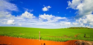 Projeto proíbe compra pública de produtos agropecuários de áreas invadidas Projeto proíbe compra pública de produtos agropecuários de áreas invadidas