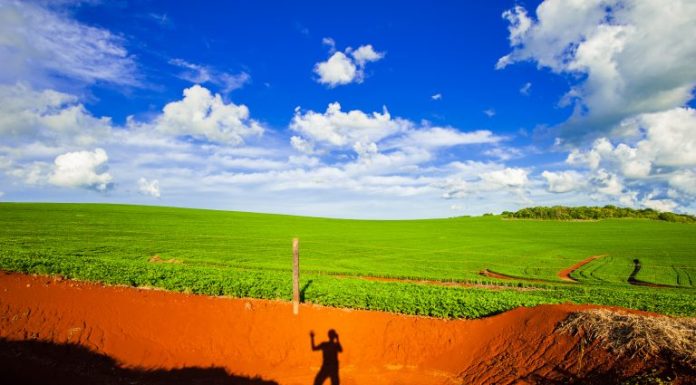 Projeto proíbe compra pública de produtos agropecuários de áreas invadidas Projeto proíbe compra pública de produtos agropecuários de áreas invadidas