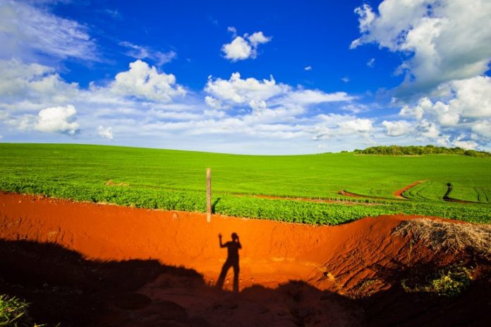 Projeto proíbe compra pública de produtos agropecuários de áreas invadidas