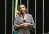 Projeto proíbe governo de comprar papel com celulose branqueada Projeto proíbe governo de comprar papel com celulose branqueada