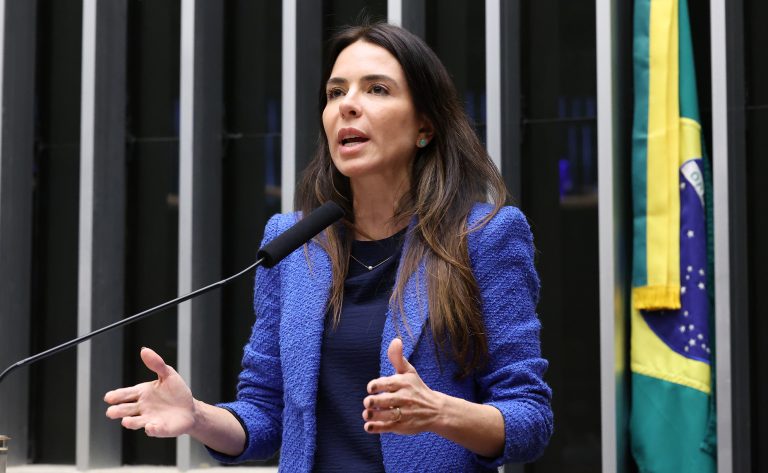 Discussão e votação de propostas legislativas. Dep. Any Ortiz (PP - RS)