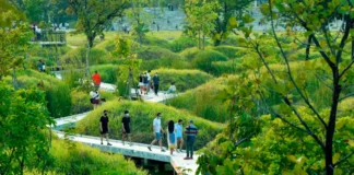 Chinês criador das cidades-esponja diz que Brasil pode ser referência