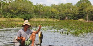 Proposta vincula seguro-defeso ao período real de proibição da pesca Proposta vincula seguro-defeso ao período real de proibição da pesca