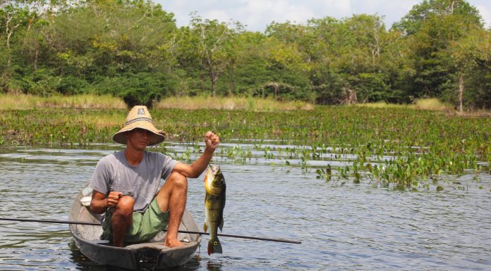 Proposta vincula seguro-defeso ao período real de proibição da pesca Proposta vincula seguro-defeso ao período real de proibição da pesca
