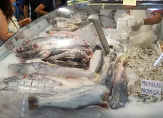 Semana do pescado pretende aumentar consumo do produto em 30%