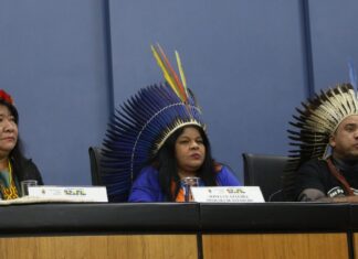 Sônia Guajajara destaca urgência em demarcar territórios