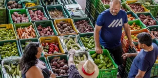 Inflação dos alimentos é explicada por menos oferta, diz IBGE