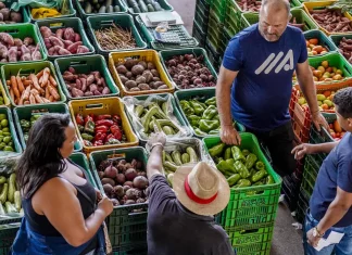 Inflação dos alimentos é explicada por menos oferta, diz IBGE