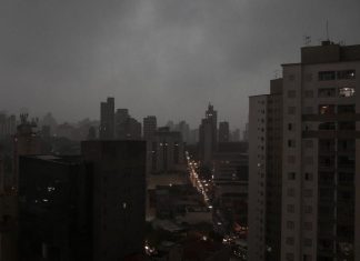 Temporal em SP causa quedas de árvores e deixa uma pessoa morta