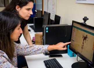Professora da UFRJ cria monitoramento diário de incêndios florestais