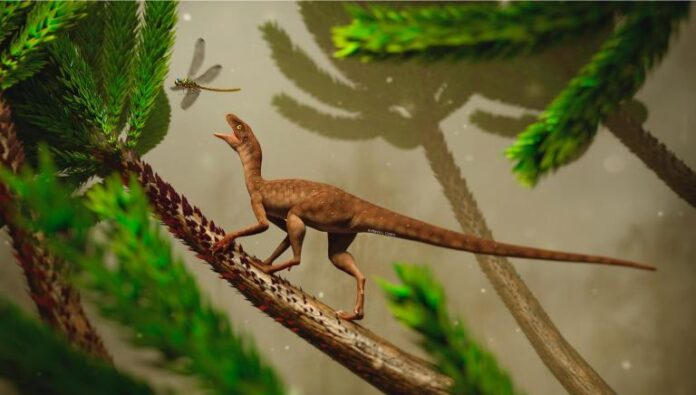 reptil