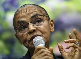 Governo e BNDES destinam R$ 150 milhões para reflorestar assentamentos
