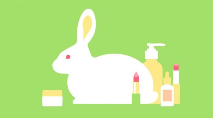 Retrospectiva 2025: Câmara aprovou proibição de uso de animais em testes de cosméticos Retrospectiva 2025: Câmara aprovou proibição de uso de animais em testes de cosméticos