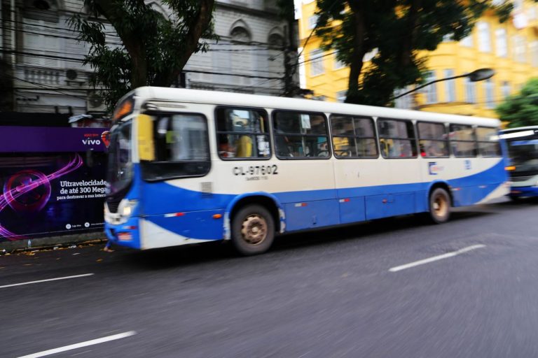 Transporte - ônubus - transporte público - ônibus urbano