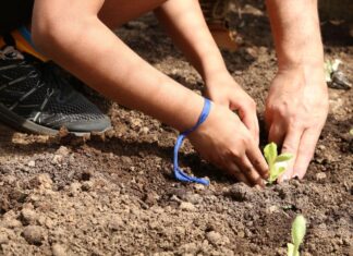 Hortas comunitárias resistem à urbanização em São Paulo