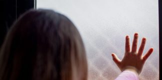 Seminário na Câmara dos Deputados discute situação dos órfãos no Brasil Seminário na Câmara dos Deputados discute situação dos órfãos no Brasil