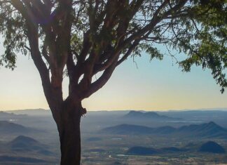 Parque Nacional da Serra do Teixeira é criado na Paraíba