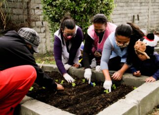 Educação de Jandira inaugura horta comunitária na EMEB Gente Inocente