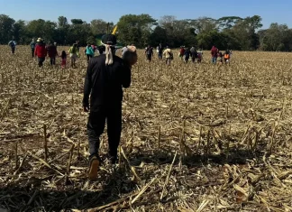 Comitiva federal visita áreas de conflitos indígenas em MS