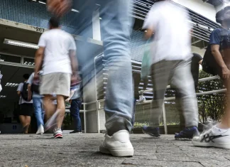 Concurso do Ibama terá 460 vagas com salários de R$ 9,9 mil