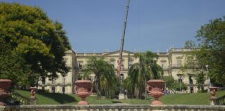 Museu Nacional recebe doação de moluscos do Museu de Coimbra