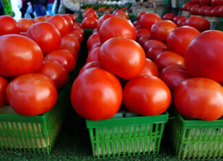 Startup produz em tomate molécula para o tratamento do colesterol ruim