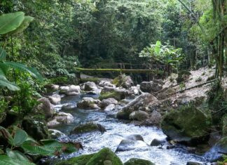Região preservada estimula turismo consciente e pequenos produtores