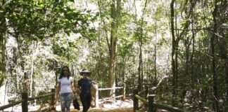 Brasil tem mais de 10 mil quilômetros de trilhas cadastradas