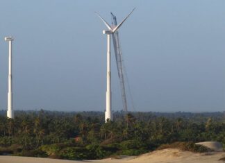 Capacidade de geração de energia eólica deve bater recorde neste ano