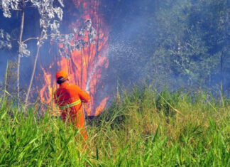 Governo de São Paulo investe mais de R$ 7 milhões para combater incêndios florestais
