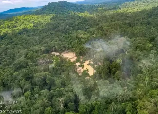 MPF move ação na Justiça Federal por demarcação de terra indígena