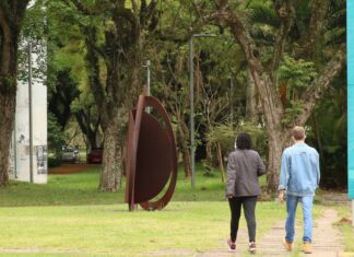 USP abre edital para bolsas de pós-doutorado a pesquisadores negros