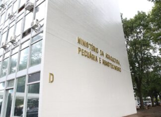 Ministério interdita fábrica de petiscos após morte de cachorros