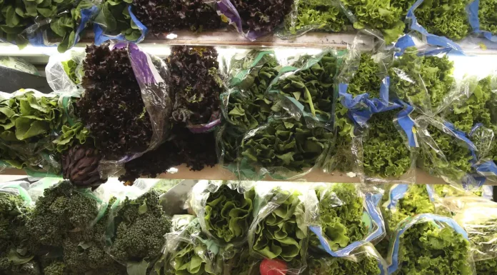 França quer apoio de bancos de desenvolvimento a alimentação saudável