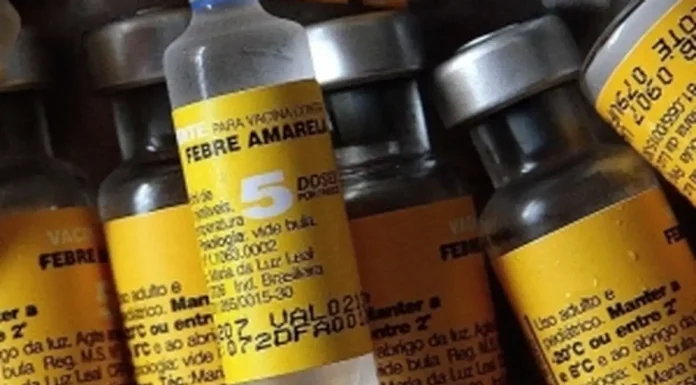 Estado de SP registra 20 mortes por febre amarela desde dezembro