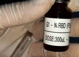Vacina nacional contra a covid-19 inicia testes clínicos