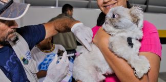 No dia 11/11, Cotia terá ação de vacinação antirrábica noturna para cães e gatos