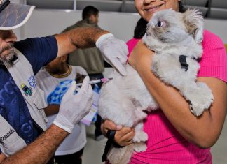 No dia 11/11, Cotia terá ação de vacinação antirrábica noturna para cães e gatos
