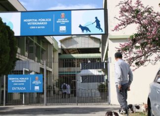 São Paulo inaugura nova unidade de hospital veterinário público