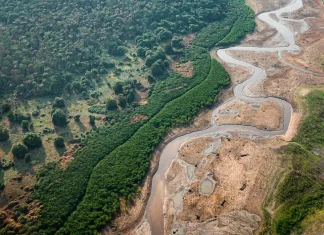Pesquisa com bactérias na Amazônia pode desenvolver novos medicamentos