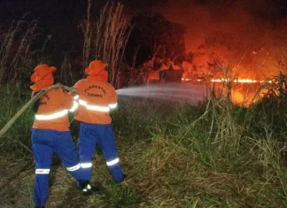 Situação de emergência por incêndio florestal cresceu 354% em agosto