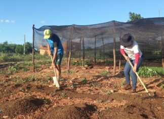 Trabalhadores pedem redução de juros para produzir alimentos no Brasil